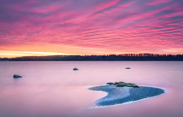 Picture forest, landscape, sunset, lake