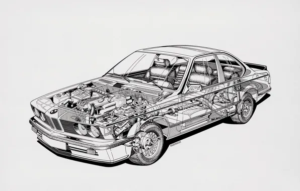 Transparency, bmw, scheme, device