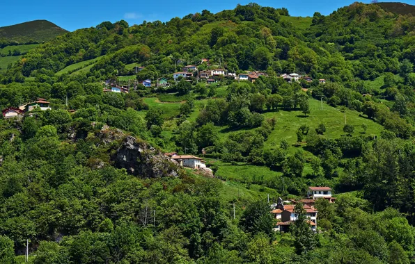 Greens, summer, the sun, trees, hills, field, slope, houses