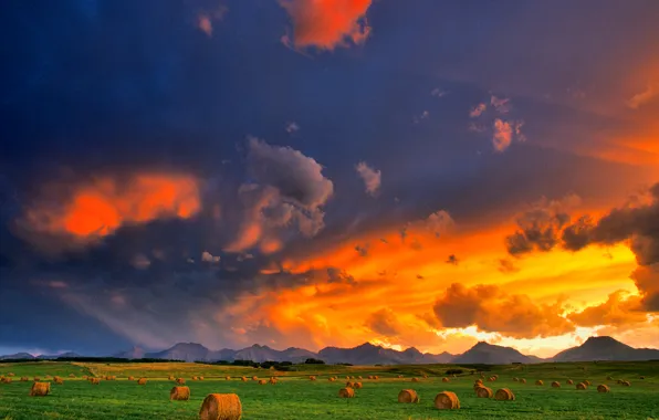 Picture field, the sky, clouds, sunset, hay, glow