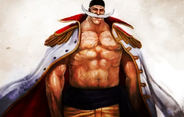 Picture anime, one piece, man, edward newgate