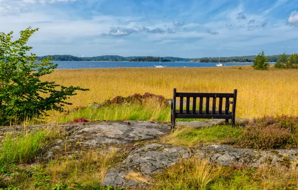 Picture sea, summer, bench, Nature, summer, sea, nature