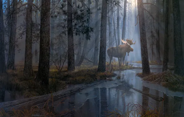 Forest, rays, light, fog, shore, figure, picture, art