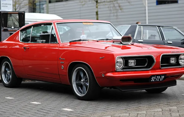 Muscle, Barracuda, Plymouth, 1968, Plymouth, Barracuda