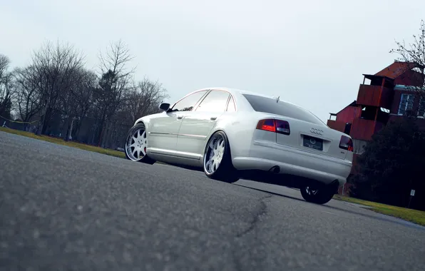Audi, Audi, White, Tuning