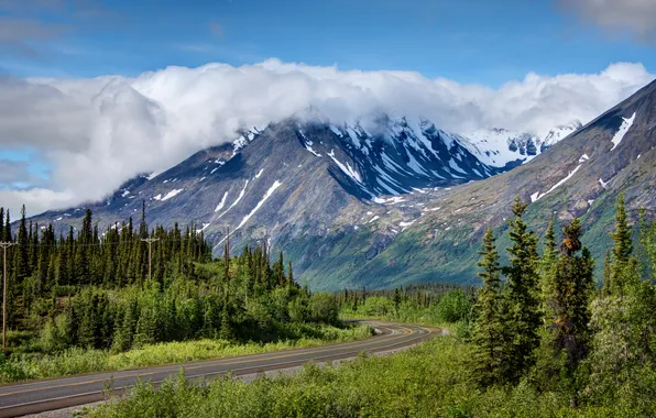 Road, forest, clouds, trees, mountains, Alaska, USA, Alaska