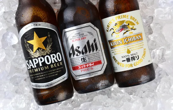 Ice, beer, bottle
