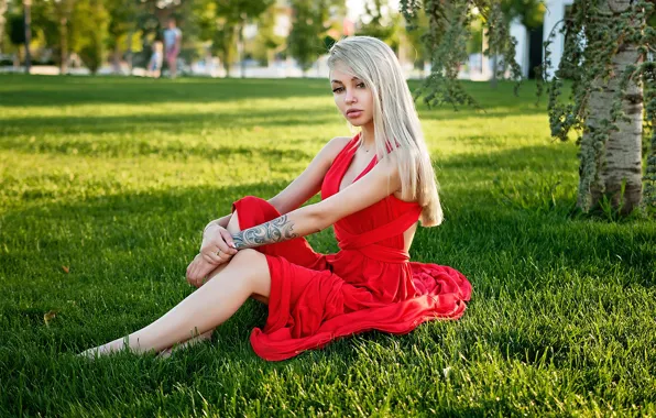 Picture grass, Girl, dress, blonde, sitting, Vladimir Dudorkin