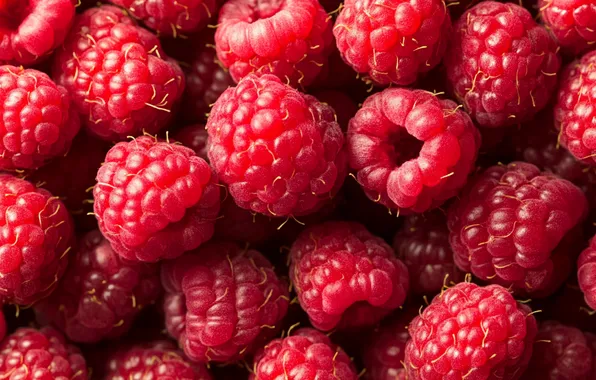 Light, berries, raspberry, harvest, a lot, AI art, neural network
