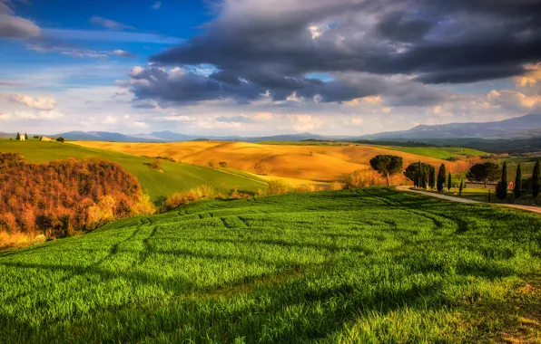 Picture the sky, grass, clouds, trees, field, Italy, Sunny, meadows