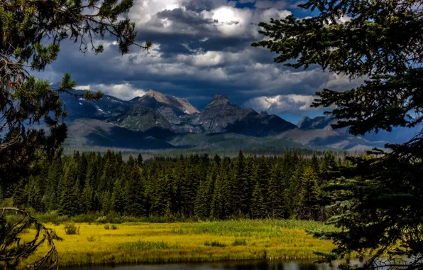 Picture forest, clouds, trees, mountains, river, Canada, Glacier National Park, Montana