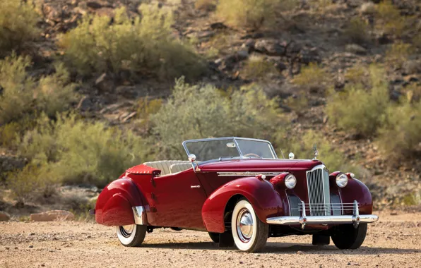 Auto, convertible, Convertible, Victoria, Packard