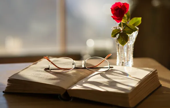 Rose, glasses, book
