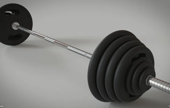 Drives, Rod, Fitness, Pancakes, Bodybuilding, Bodybuilding, Damn, Weight