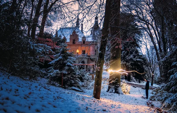 Winter, forest, light, trees, landscape, nature, Park, castle