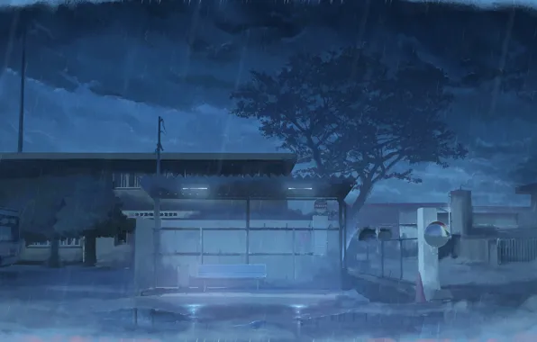 Auto, night, street, the shower