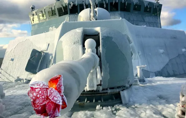 Ice, winter, rose, humor, gun