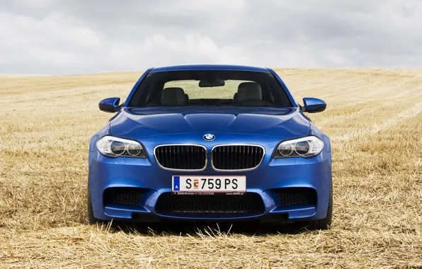 Picture field, blue, BMW, the front