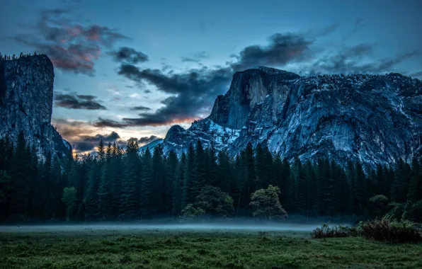 Picture clouds, nature, fog, rocks, meadow, Yosemite, Yosemite, California