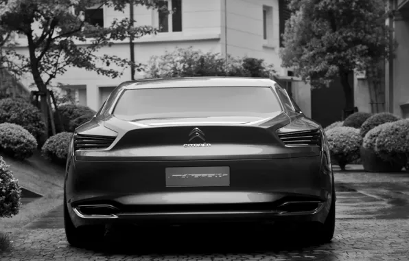 Auto, Wallpaper, lights, ass, concept, citroen, Citroen, black and white