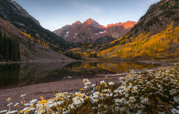 Autumn, forest, the sky, the sun, trees, flowers, mountains, lake