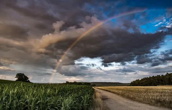 Picture road, field, rainbow