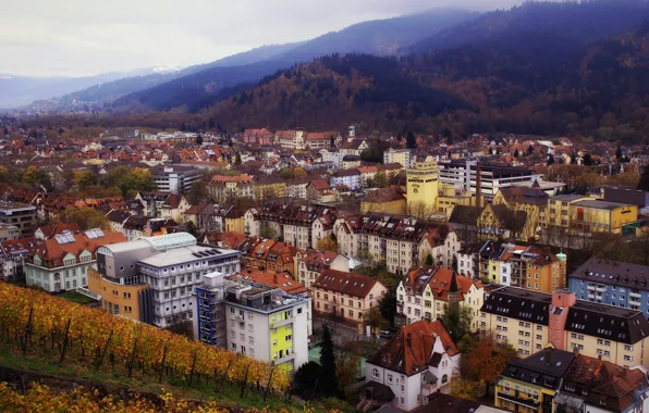 Picture autumn, forest, nature, the city, hills, building, home, Germany