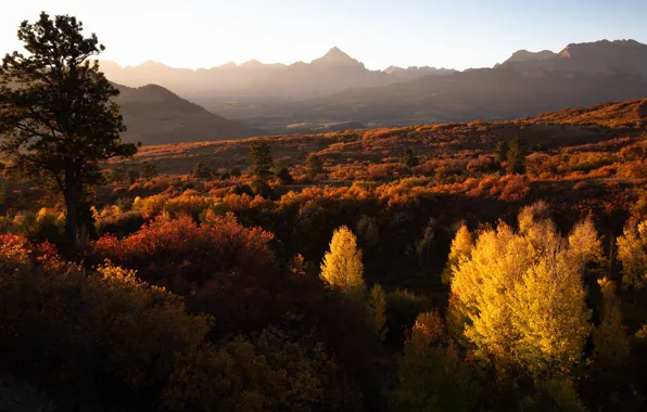 Autumn, forest, the sky, light, trees, landscape, mountains, nature