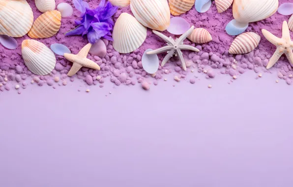 Sand, shore, shell, shell, starfish, seashells, seashell, AI art