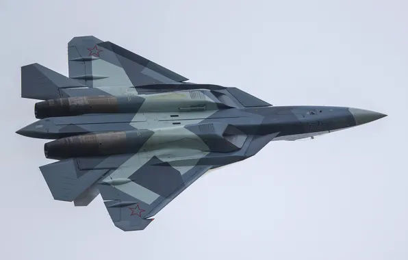 The sky, fighter, the plane, multipurpose, fifth generation, supersonic, Vladislav Perminov, PAK FA T-50