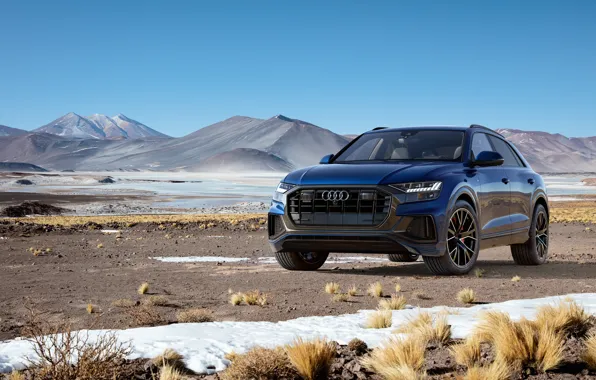 Quattro, 2018, crossover, S-Line, 55 TFSI, Audi Q8