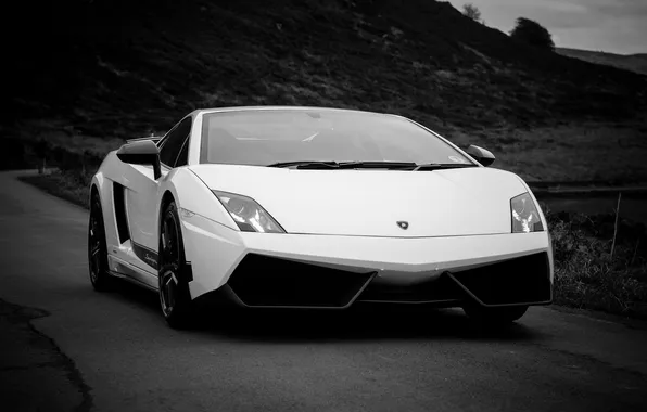 White, white, lamborghini, front view, Lamborghini, black and white photo, lp570-4, gallardo superleggera