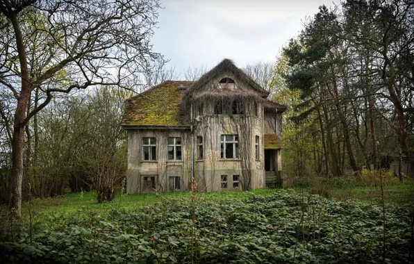 Wallpaper house, abandoned, end of the street