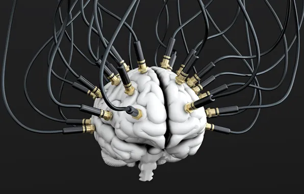 Picture wire, cables, brain, brain