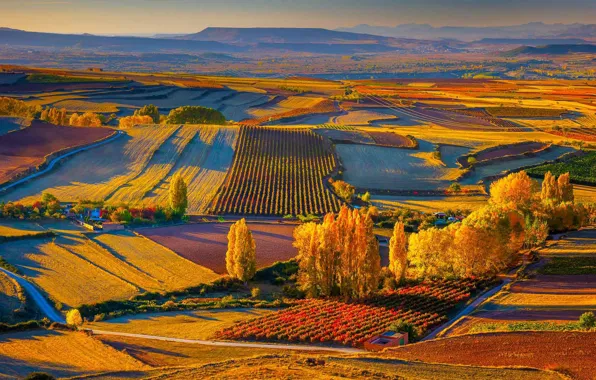 Picture autumn, Spain, Rioja