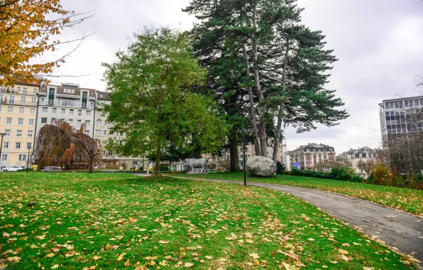 Picture autumn, trees, Park, building, Switzerland, track, falling leaves, trees