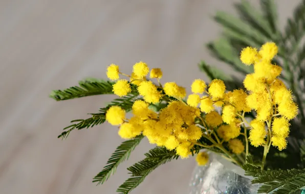 Flowers, bouquet, spring, yellow, vase, flowering, bokeh, Mimosa