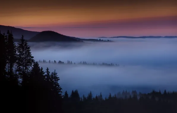 Picture forest, mountains, fog, dawn, morning, haze