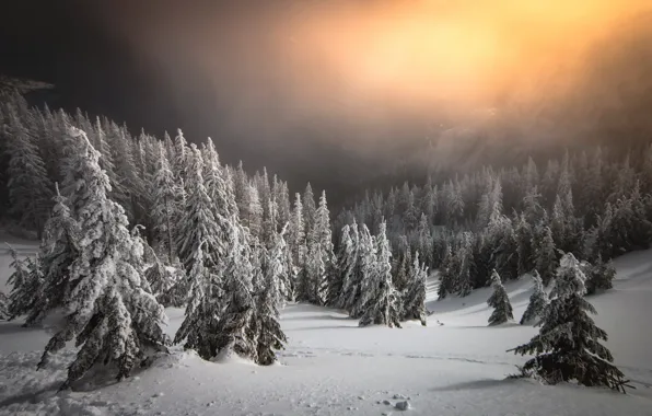 Wallpaper winter, sunset, nature images for desktop, section пейзажи ...