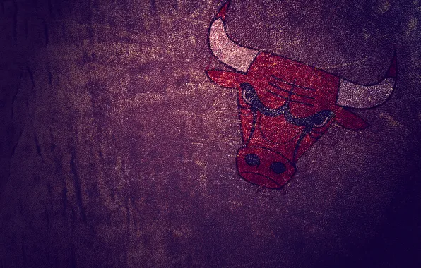Picture minimalism, leather, Chicago Bulls, bull