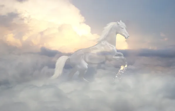 The sky, transparency, clouds, Horse, Ghost
