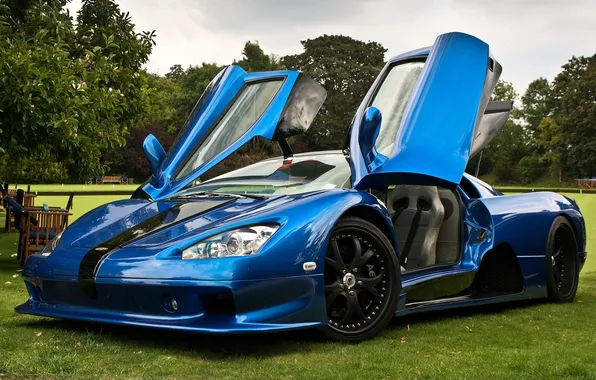 Picture grass, trees, blue, background, door, supercar, SSC, hypercar
