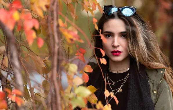 Picture look, leaves, girl, branches, model