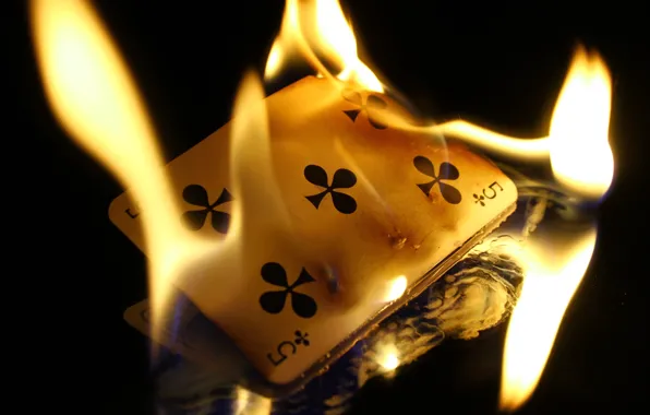 Card, background, fire