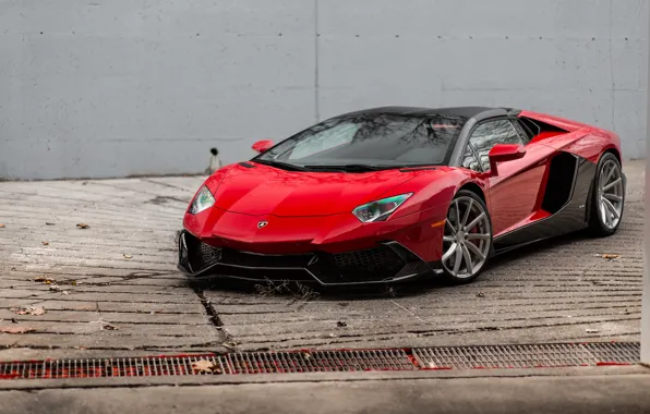 Roadster, Lamborghini, Red, Aventador, Anniversary, 50th