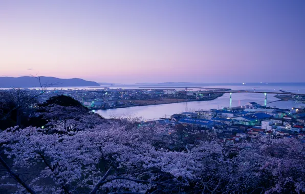 Picture Japan, asian, japanese, oriental, asiatic, Sakata, Yamagata, My Mount Hiyoriya