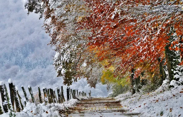 Autumn, snow, nature, France, November