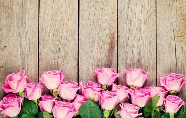 Roses, wood, pink, romantic, roses, pink roses