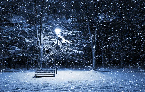 Winter, snow, trees, landscape, night, nature, Park, loneliness