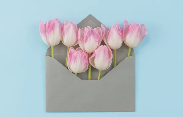 Flowers, bouquet, tulips, pink, fresh, pink, flowers, the envelope